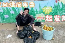 村花卖了2万块大树，还带着大嫂二嫂一起发财，格局真大视频封面