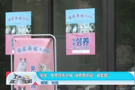 重庆：免费领养小猫  消费者怀疑“被套路”视频封面