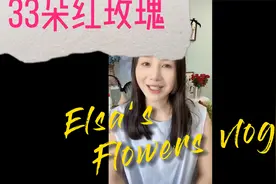 33朵红玫瑰视频封面
