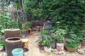 实拍河北鹿泉：大山里的小山村，变成了无人村，现状让人心酸视频封面