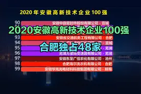 2020安徽高新技术企业100强，科大讯飞连前30都进不了，奇瑞第4视频封面