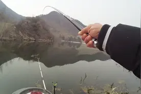 这鲫鱼个真大，一个手握不住杆子，拼命要线，手感台过瘾了视频封面