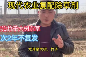 现代花农业发展：大树杂草竹子专用除草剂，死根2年不复发视频封面