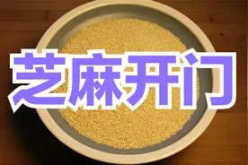 芝麻分四种，千万不要用错了，专业讲解每种芝麻的用途和加工方法视频封面