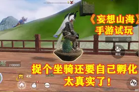 手游试玩：妄想山海宠物坐骑捕捉玩法，弄了个兽蛋，还要自己孵化视频封面