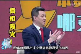 杨健爆出辽宁男篮韩德君受伤真相，球迷：怪不得球队状态这么好！视频封面