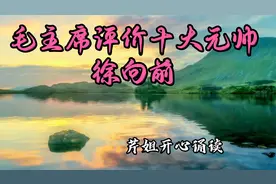 《毛主席评价十大元帅徐向前》‘’留得青山在，不怕没柴烧‘’视频封面