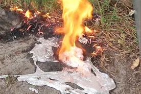 用铝水打造地下黄蜂窝，普通的铝水变成了这样，还挺有艺术感视频封面
