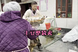 云南农村土豆有多畅销？超超拉一车土豆进村，开张就卖十袋，神奇视频封面