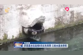 济南趵突泉连续9天达预警红线，三股水基本断流，游客表示失望视频封面