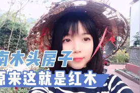 越南木头房子，原来这个房子是红木做的，今天才知道红木是什么树视频封面