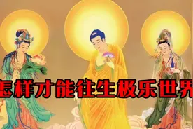 怎样才能往生极乐世界 #念佛 #佛教文化 #禅悟人生视频封面