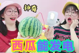 有人不相信科学知识？还赌500元水果不能发电，让我来打她的脸！视频封面