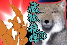 藏狐挠痒第⑨话~给个面~英雄~自制鬼畜洗脑沙雕动画视频封面
