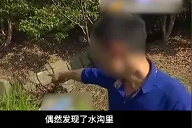 男子捡到“石太岁”，价值上亿！专家：十万块钱一克。视频封面
