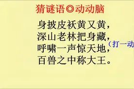猜谜语：身披皮袄黄又黄，深山老林把身藏，呼啸一声惊天地视频封面