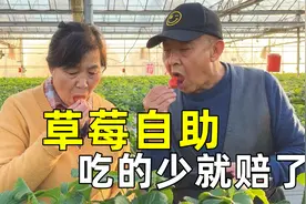 99元的草莓自助你觉得亏不亏？视频封面
