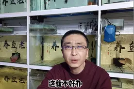 为什么不建议在过小的鱼缸内，饲养地图和鹦鹉鱼？因为矛盾问题多视频封面