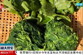【清明食“鲜”】吃野菜的注意事项视频封面