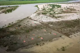 印度进入洪水季恒河重现浮尸：数百具遗体或随波飘荡或搁于浅滩视频封面
