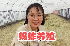 养殖高蛋白蚂蚱周期短，获利快，关键是好养活，30天见效益视频封面