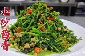 茴香不光调馅还可以炒，大厨教你一招，鲜嫩可口，清香四溢视频封面