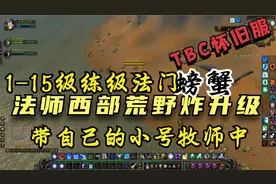 魔兽世界怀旧服：用法师带小号快速升级，西部荒野炸螃蟹视频封面