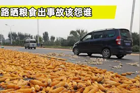 农民占路晒粮引发交通事故，责任该怎么划分？看完涨知识了