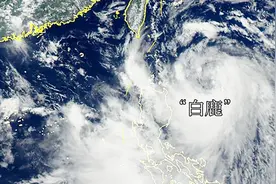 台风“白鹿”登陆台湾 台湾多地迎狂风大雨 海边掀起数米巨浪视频封面