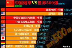 营收额：中国烟草VS世界500强企业TOP100，中国烟草营收排名第几视频封面