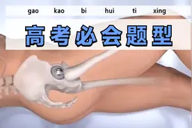 髋关节置换术后护理视频封面