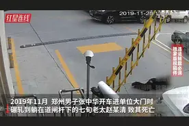 碾死躺地维权七旬老太当事人发声:这是一场无妄之灾 我有错但没罪视频封面