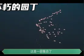 一个关于爱、欺骗和政治阴谋的故事视频封面