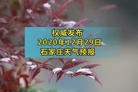 12-29，石家庄气象台发布天气预报，降温！注意添衣保暖！视频封面