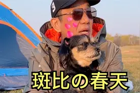 上次没带斑比美容被我爸骂了一天，今天给斑比美了容还带出来旅游视频封面