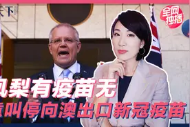凤梨来了疫苗丢了 澳大利亚进口疫苗被意大利紧急叫停视频封面