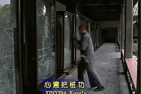 少林心意把桩功释德建，少林寺里面真正可以实战的高手！视频封面
