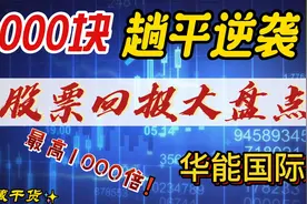 2001年买入1000元华能国际，盈利你是否还看的上 ？视频封面