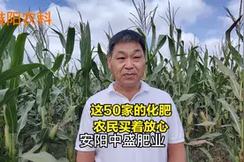 这50多家企业生产的化肥，养分含量足，农民信得过视频封面