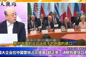 德国大企业在中国营收占比很高，郭正亮：讲脱钩是信口开河视频封面