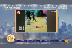 场面拉风：宝爸用防丢绳牵4胞胎女儿游览海洋馆视频封面