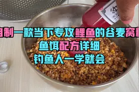 自制一款当下专攻鲤鱼的谷麦窝料，鱼饵配方详细，钓鱼人一学就会视频封面
