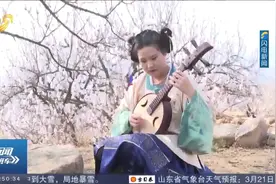 五莲：樱桃花、杏花等相继盛开，精彩活动吸引大批游客前来打卡视频封面