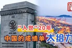 “入世”20年：数据告诉你中国交出的“成绩单”有多给力视频封面