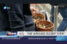 这也能退货？台湾一民众拿“枯萎”盆栽退货，花苞叶子都掉光