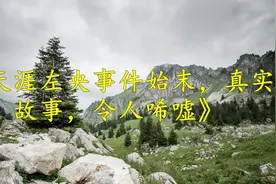 天涯左央事件始末，真实故事，令人唏嘘视频封面