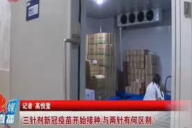 三针剂新冠疫苗开始接种 与两针有何区别？视频封面