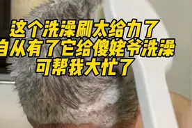 家有傻爹洗澡都要靠女儿，多亏我买的这个洗澡刷，真的太好用了视频封面