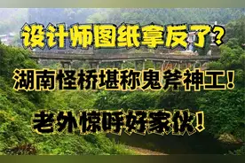 设计师拿反图纸？湖南怪桥堪称鬼斧神工！老外直呼好家伙视频封面