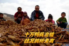 10万“鸭兵”被派往新疆治蝗，战况难以想象，鸭兵最终去了何处？